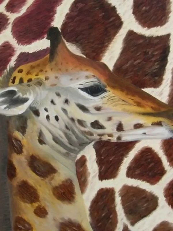 Giraffa